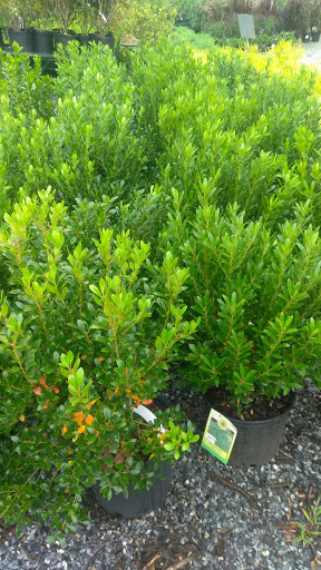 Grocery Store «ACME Markets», reviews and photos, 400 Simpson Dr, Chester Springs, PA 19425, USA