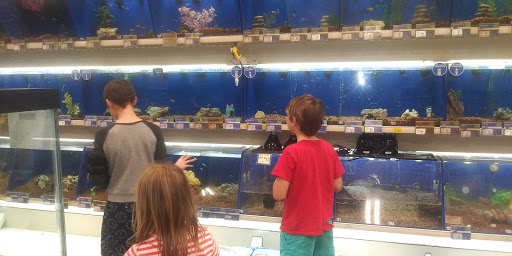 Pet Supply Store «PetSmart», reviews and photos, 1733 S Stapley Dr, Mesa, AZ 85204, USA