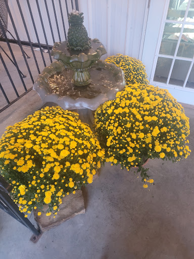 Restaurant «Adams Breezy Hill Farm», reviews and photos, 1222 Cadiz Rd, Princeton, KY 42445, USA