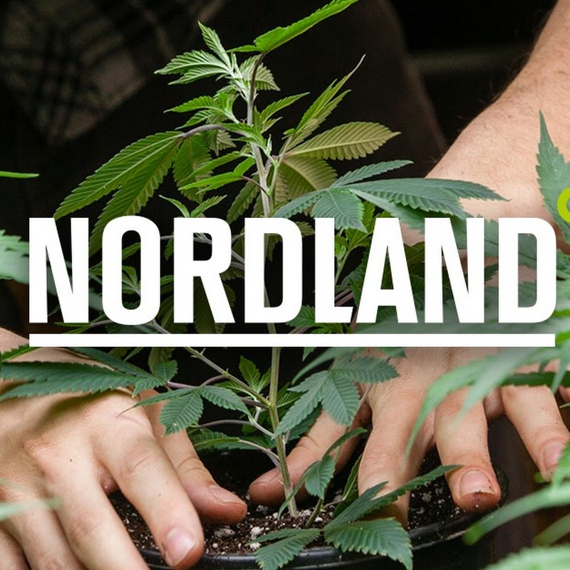 Skunkfrø & Cannabisfrø - Nordland Seeds
