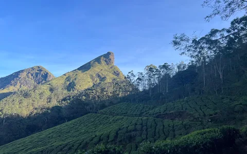 Jaguar Rock, Kerala image