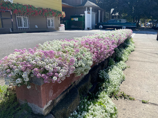 Grocery Store «Roman Russian Food Store», reviews and photos, 10918 SE Division St, Portland, OR 97266, USA