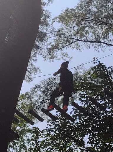 Park «TreeTop Adventures», reviews and photos, 200 New Boston Dr, Canton, MA 02021, USA