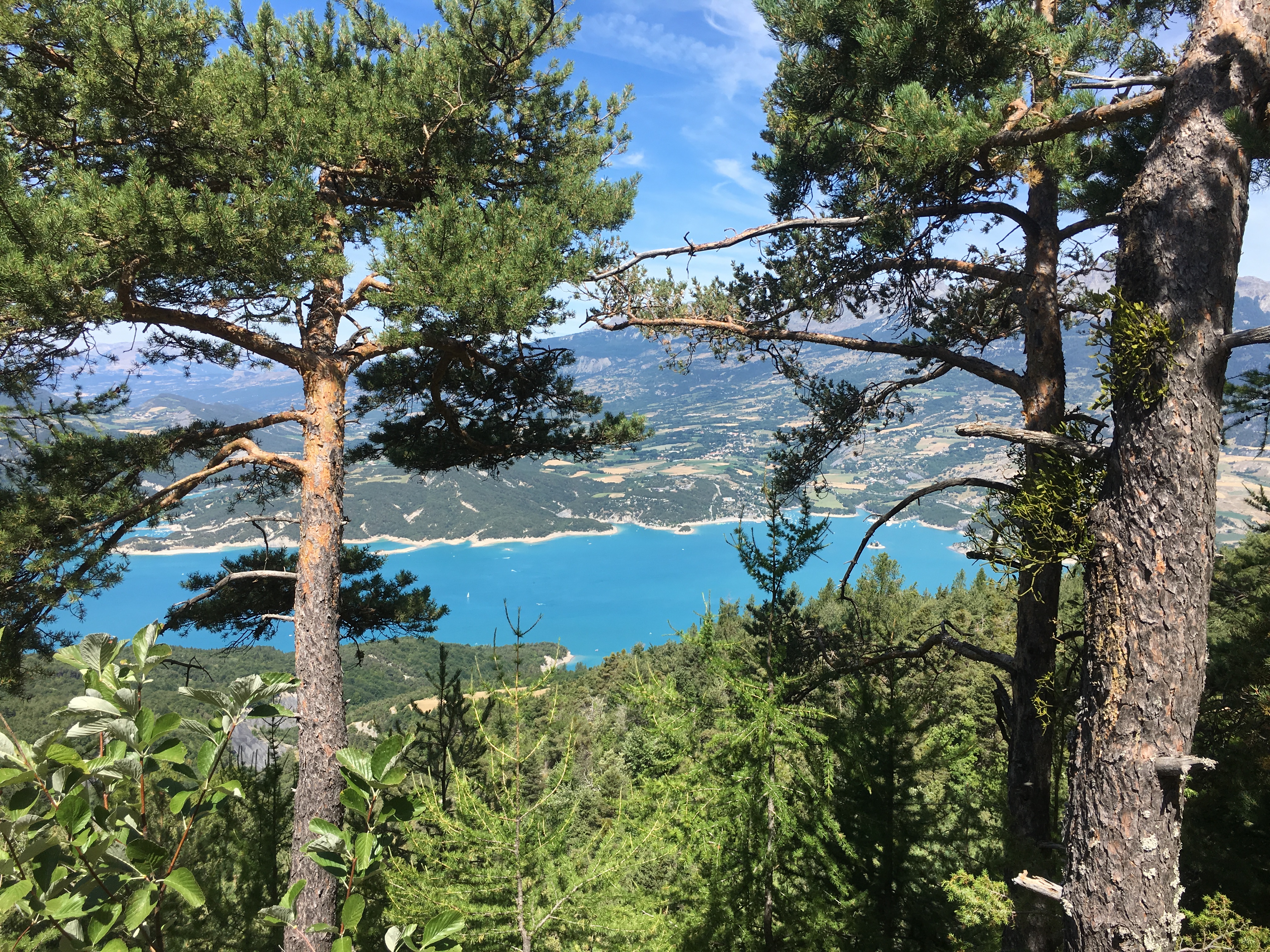 Photo n° 4 de l'avis de Joke.i fait le 19/08/2019 à 17:34