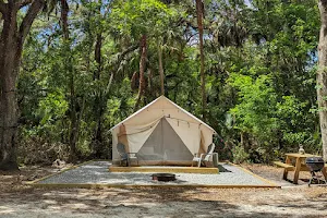 Timberline Glamping at Hillsborough River image