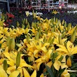 Garden Center at The Home Depot