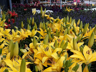 Garden Center at The Home Depot