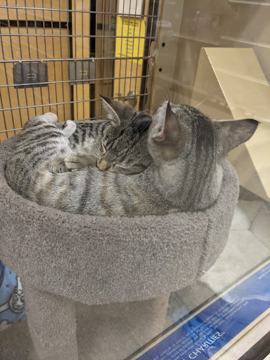 Pet Supply Store «PetSmart», reviews and photos, 1630 13th Ave E, West Fargo, ND 58078, USA