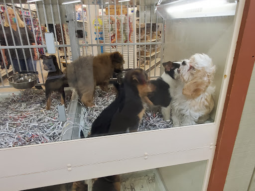 Pet Store «Back To Nature Pets & Grooming», reviews and photos, 110 N Dupont Hwy, New Castle, DE 19720, USA