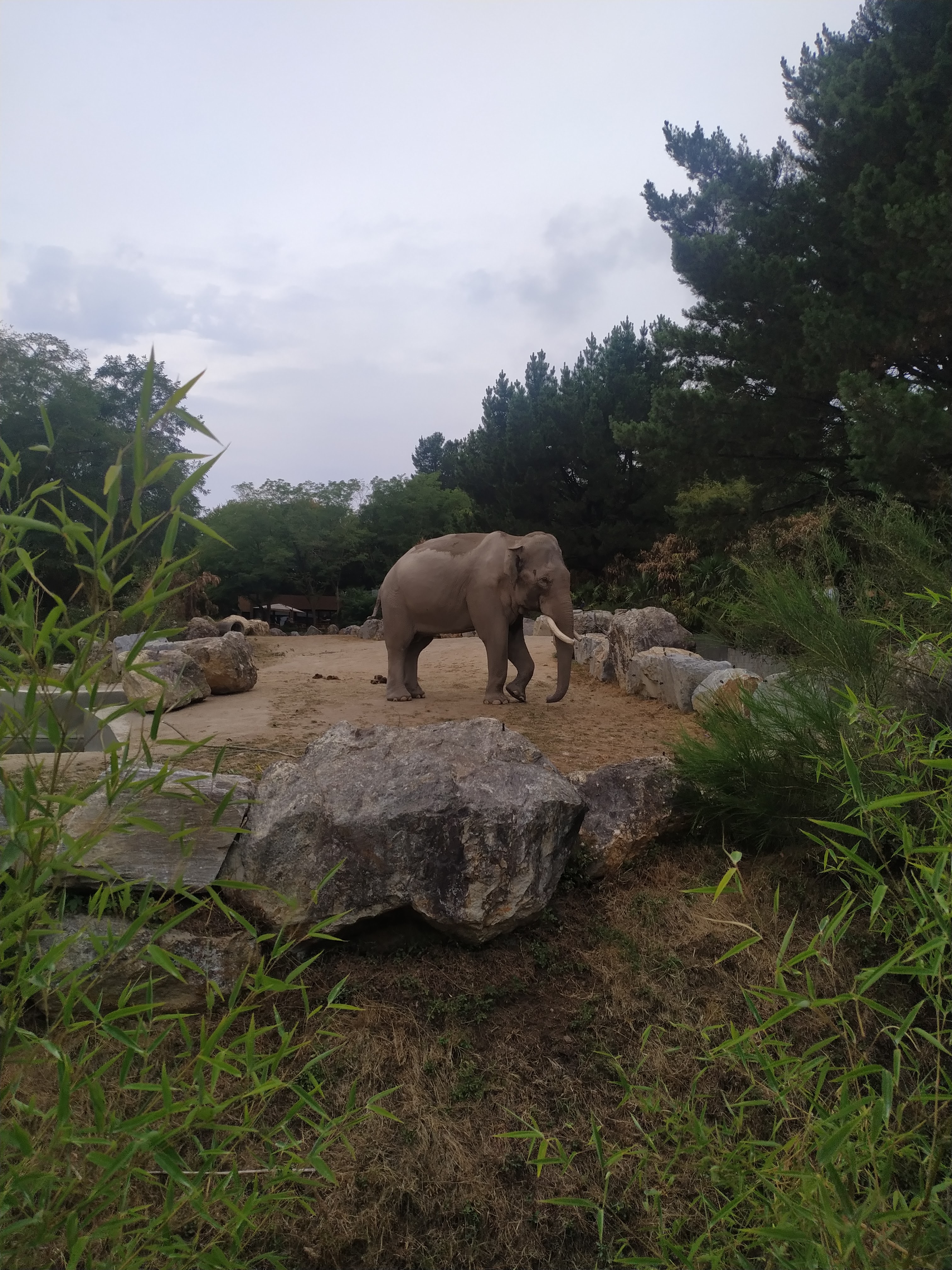 Photo n° 1 de l'avis de Ludovic.o fait le 15/08/2022 à 18:47