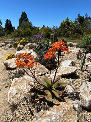 Nature Preserve «UC Santa Cruz Arboretum», reviews and photos, 1156 High St, Santa Cruz, CA 95064, USA