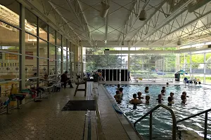 Rodale Aquatic Center image