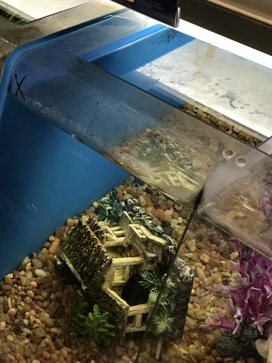 Pet Supply Store «PetSmart», reviews and photos, 3665 Marketplace Blvd, East Point, GA 30344, USA