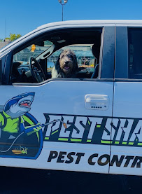 Pest Shark - Photo 1 - Car repair in , Tulsa