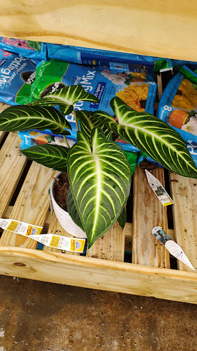 Home Improvement Store «The Home Depot», reviews and photos, 20 Gateway Village Rd, Bluffton, SC 29910, USA