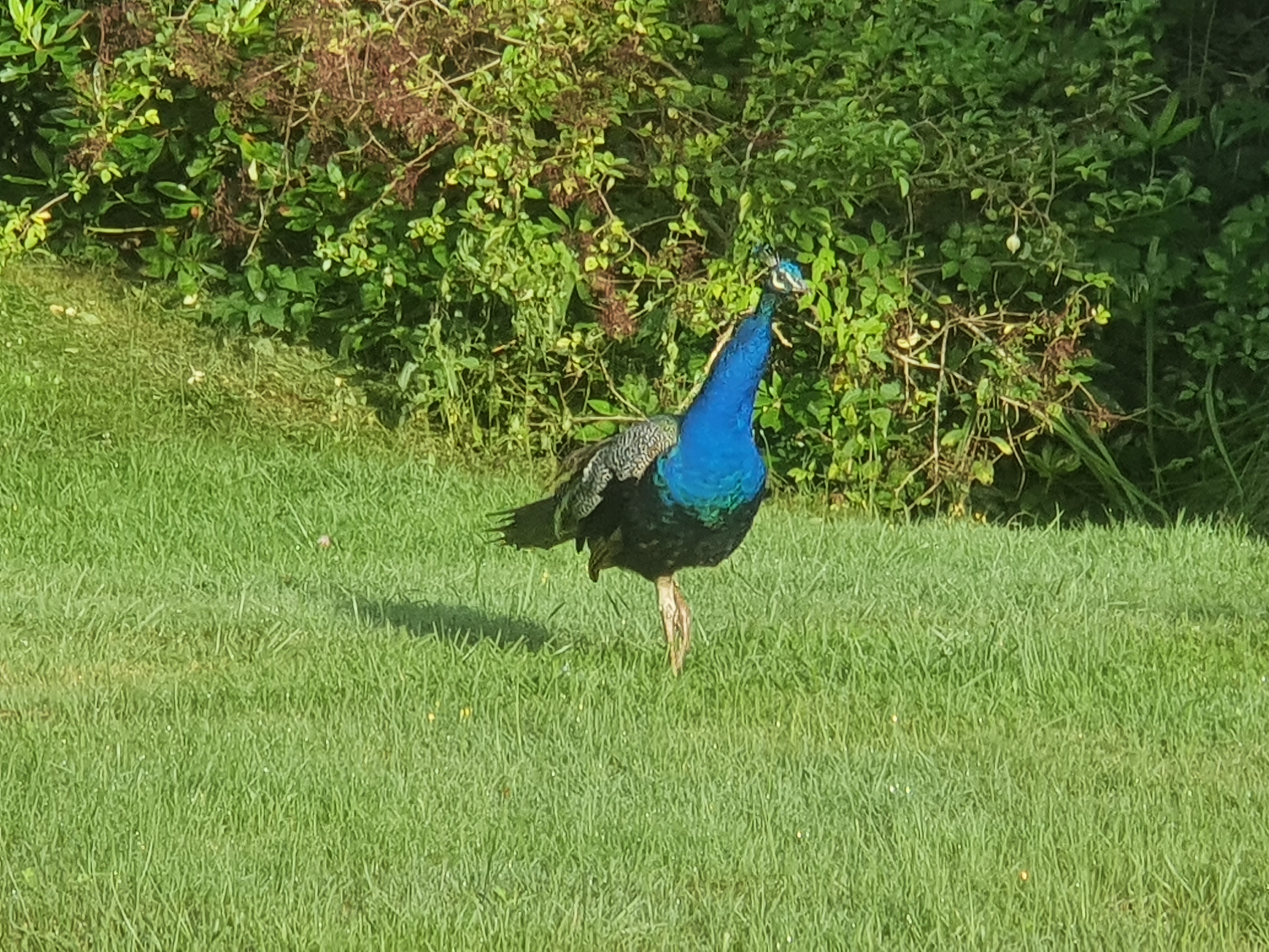 Photo n° 3 de l'avis de Françoise.I fait le 12/08/2021 à 16:46