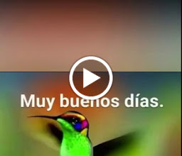 El encanto del buen comer photo