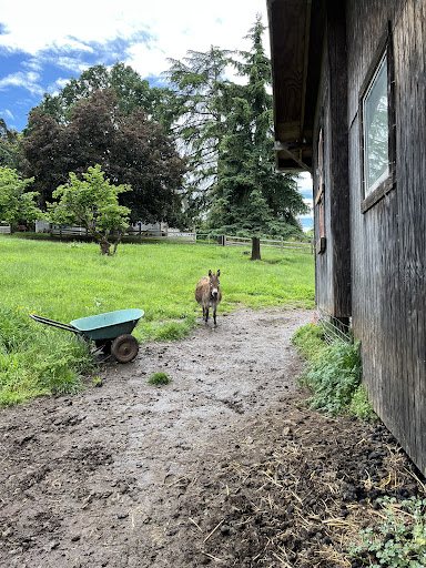 Tourist Attraction «Tollen Farm», reviews and photos, 11681 SW Tooze Rd, Wilsonville, OR 97070, USA