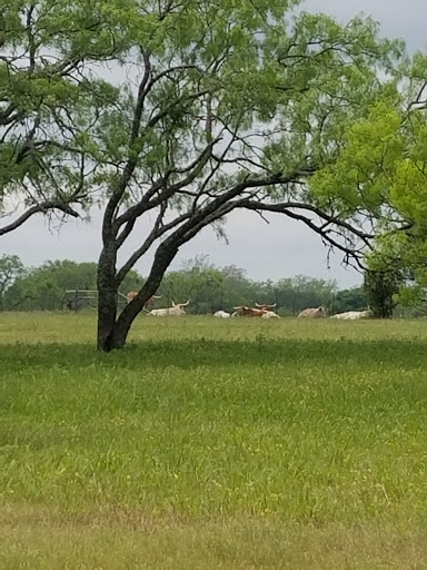 State Park «Lyndon B. Johnson State Park & Historic Site», reviews and photos, 199 Park Road 52, Stonewall, TX 78671, USA