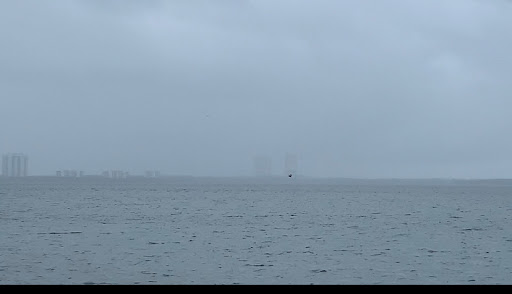 Boat Tour Agency «Good Time Charters», reviews and photos, 4765 Estero Blvd, Fort Myers Beach, FL 33931, USA