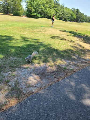 Golf Course «Whispering Pines Golf Course», reviews and photos, 900 Harrelson Blvd, Myrtle Beach, SC 29577, USA