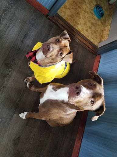 Pet Supply Store «Petco Animal Supplies», reviews and photos, 753 53rd Ave NE, Fridley, MN 55421, USA