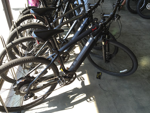 Shoe Store «PRO BIKE+RUN Robinson», reviews and photos, 3100 Robinson Ln, Pittsburgh, PA 15205, USA