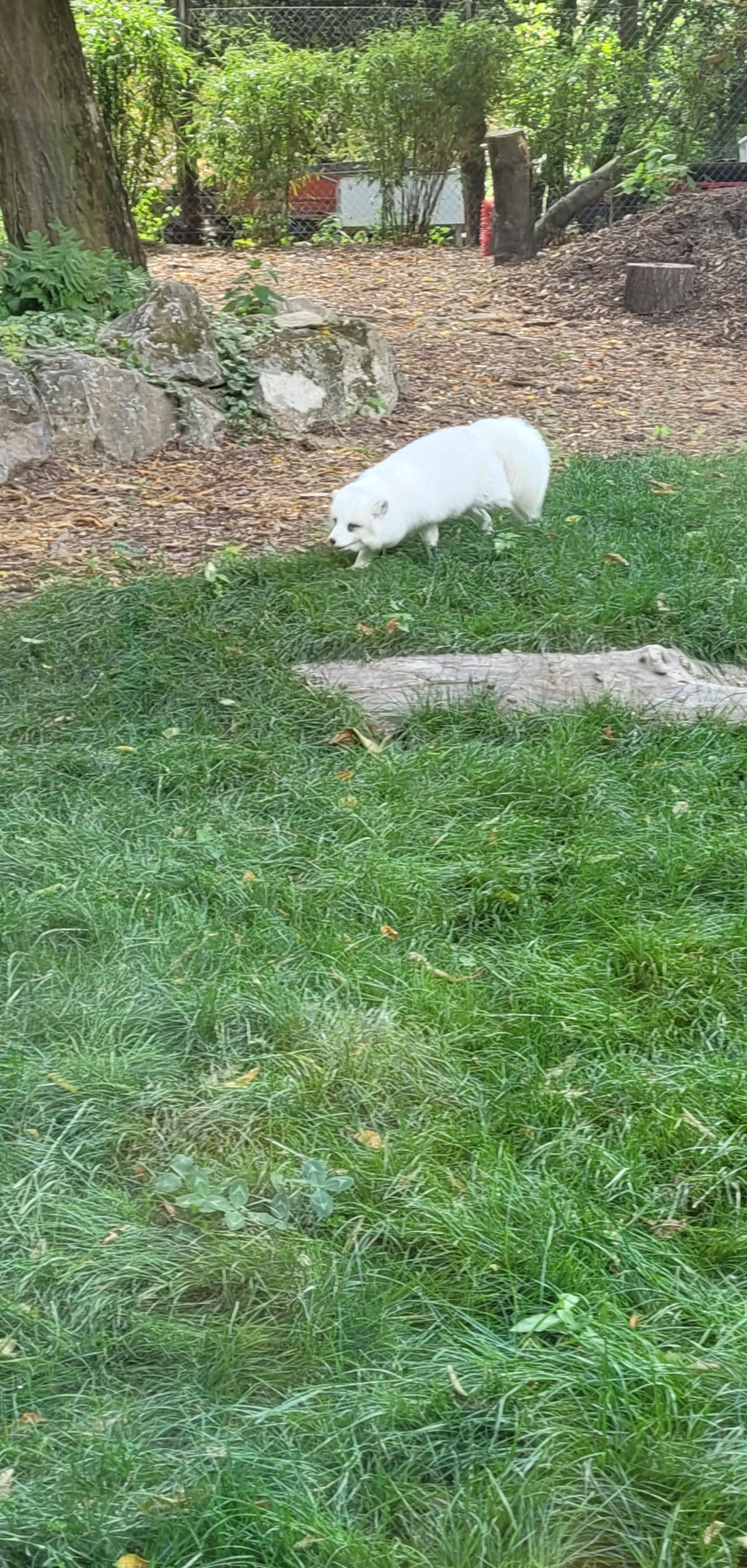 Photo n° 1 de l'avis de Ingrid.l fait le 11/08/2022 à 11:48