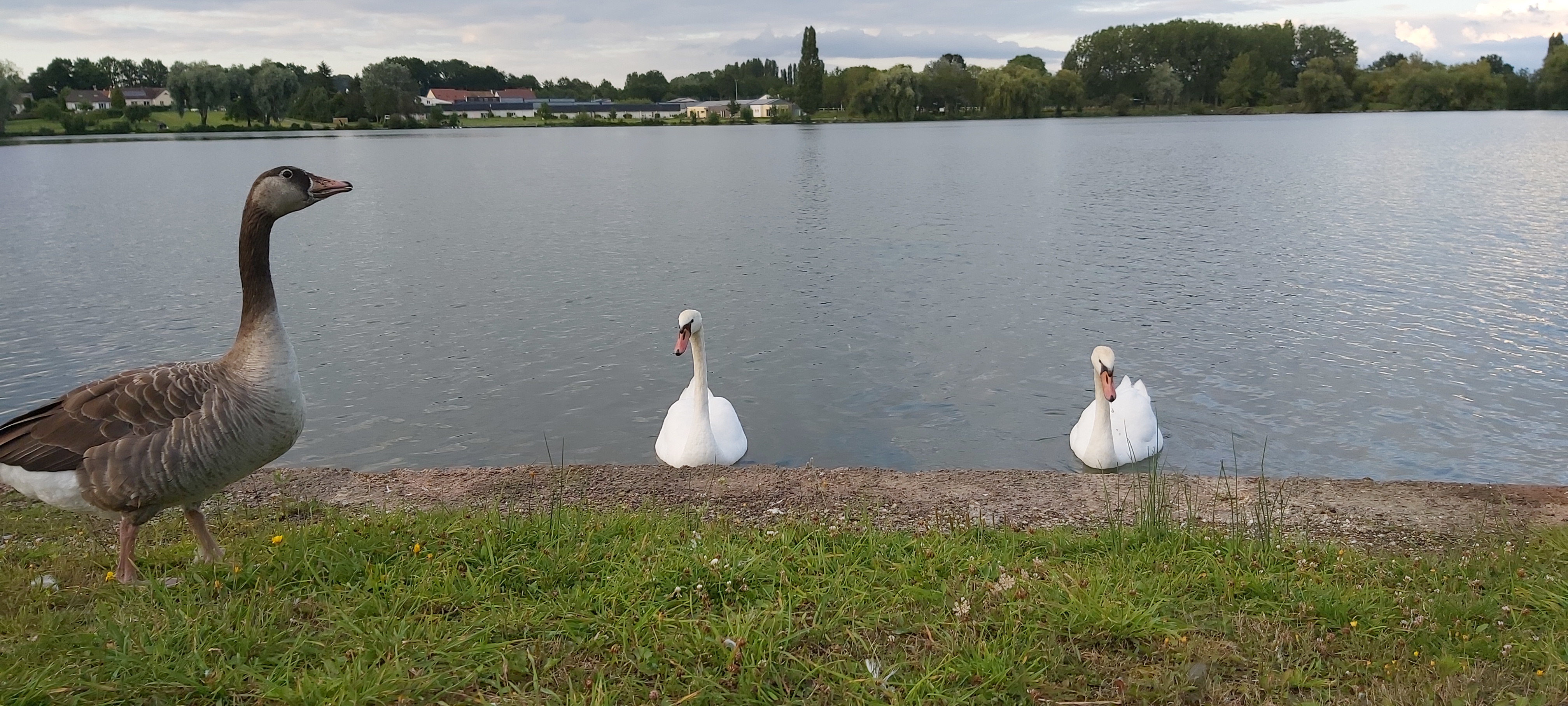 Photo n° 5 de l'avis de K..i fait le 12/08/2021 à 12:54