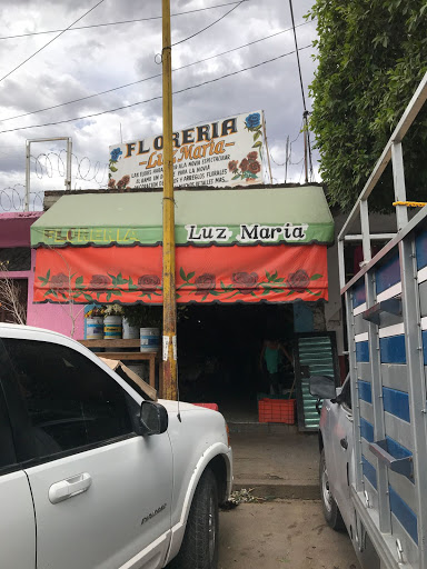 Florería Amor
