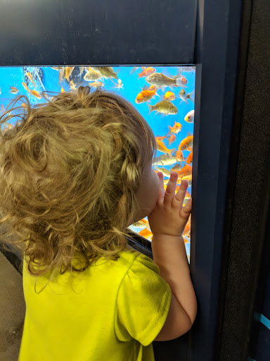 Pet Supply Store «Petco Animal Supplies», reviews and photos, 214 Northside Dr #7, Woodford, VT 05201, USA