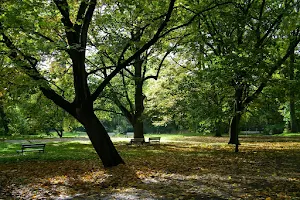 Park Żeromskiego image