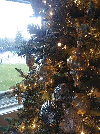 Country Club «Overlake Golf and Country Club», reviews and photos, 8000 NE 16th St, Medina, WA 98039, USA