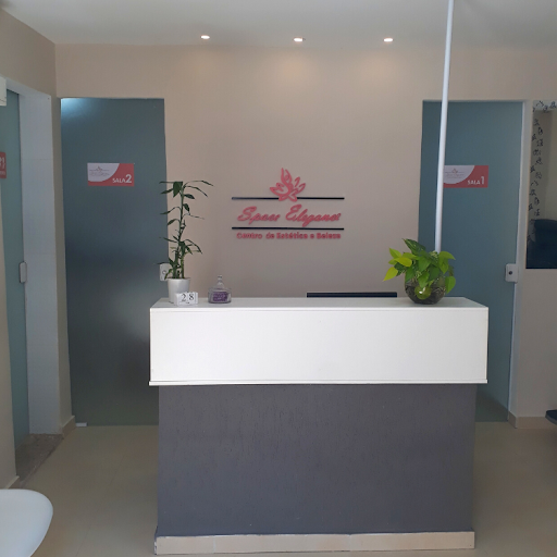 Logo da empresa - Space Elegance