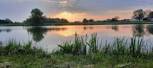 Etang à Ambillou