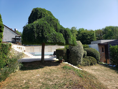 TiPi Services à Champs-sur-Marne