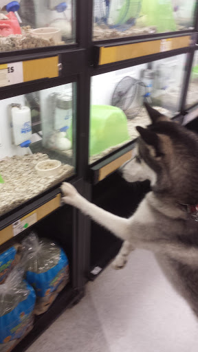 Pet Supply Store «Petco Animal Supplies», reviews and photos, 3731 Gateway Dr, Eau Claire, WI 54701, USA