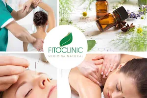 Fitoclinic - Medicina Natural (uma marca FANTASTIKBENEFIT - Unipessoal Lda.). image