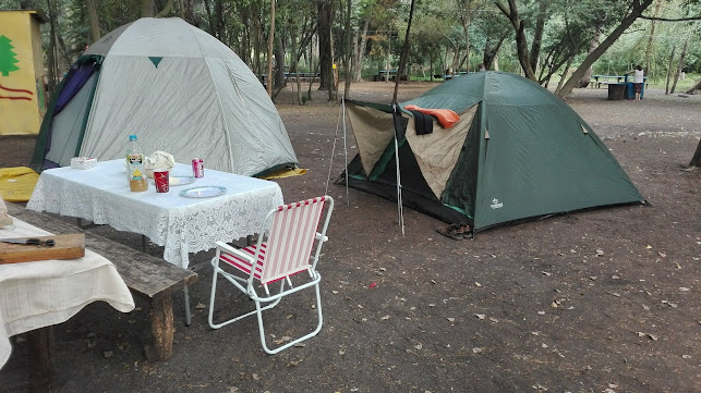 Camping Los Pinos