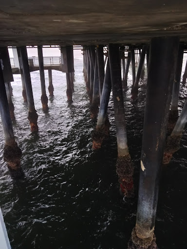 Pet Supply Store «Unleashed by Petco», reviews and photos, 1402 Wilshire Blvd, Santa Monica, CA 90403, USA