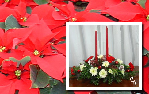 Florist «Essex Florist & Greenhouses», reviews and photos, 341 S Marlyn Ave, Essex, MD 21221, USA