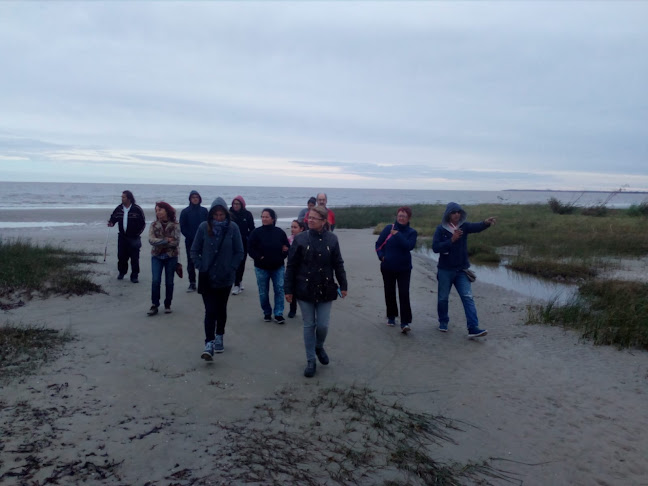 Opiniones de "Camino Junco y Totora" Punto de encuentro educación ambiental y avistamientos de aves ruta 1 km 28.500 en Ciudad del Plata - Escuela