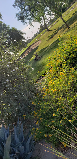 Golf Course «Willow Creek Golf Course», reviews and photos, 10600 N Boswell Blvd, Sun City, AZ 85351, USA