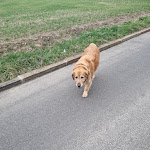 Photo n° 1 de l'avis de haram.H fait le 09/01/2024 à 10:59 pour Église Notre-Dame-de-l'Assomption d'Auvers-sur-Oise à Auvers-sur-Oise