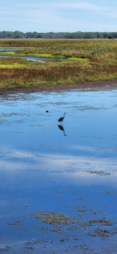 National Reserve «Montezuma National Wildlife Refuge», reviews and photos, 3395 US-20, Seneca Falls, NY 13148, USA