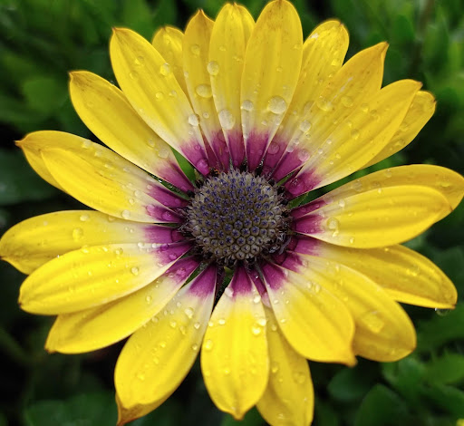 Home Improvement Store «The Home Depot», reviews and photos, 16420 Washington St, Thornton, CO 80023, USA