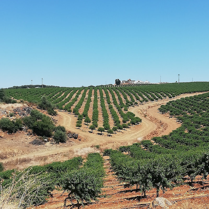 HERDADE DO FARROBO