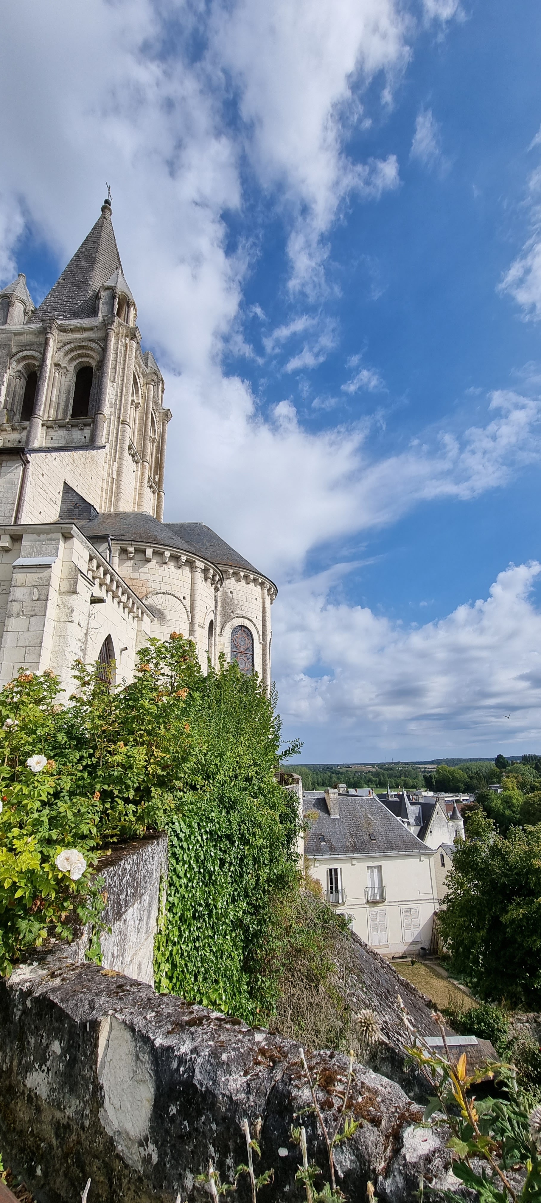 Photo n° 1 de l'avis de Kamilia.a fait le 28/08/2022 à 04:32