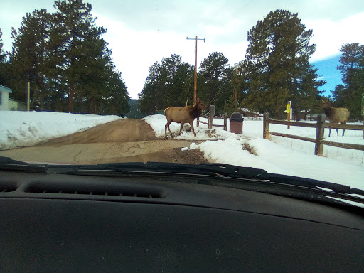 Fishing Store «Blue Quill Angler», reviews and photos, 1532 Bergen Pkwy, Evergreen, CO 80439, USA