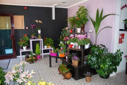 Avaliações doDoceFlor - florista online em Vila Franca de Xira - Floricultura